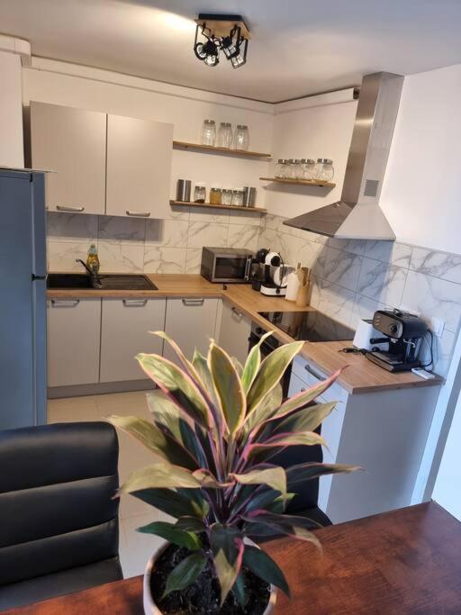 Appartement Vue Mer Avec Parking Gratuit Sur Place Bastia (Corsica) Exterior foto